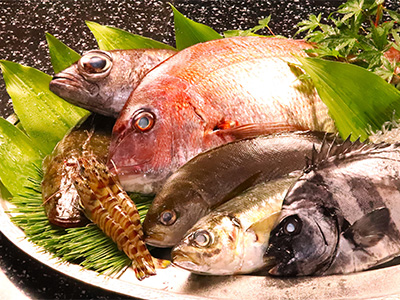 お食事