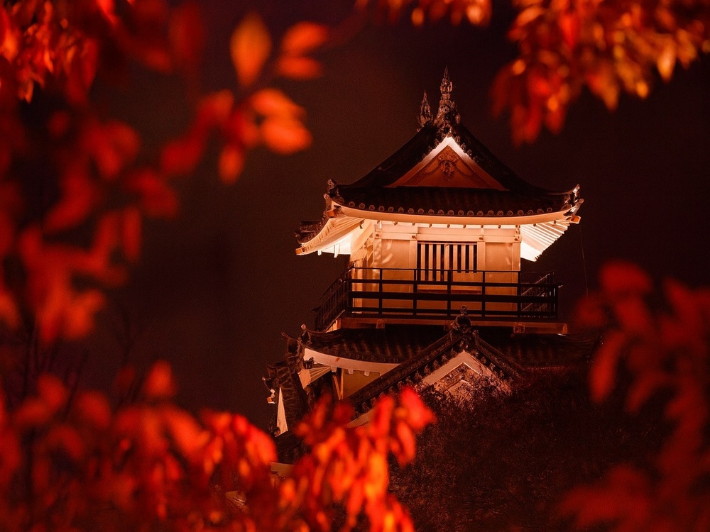 浜松城公園のライトアップ