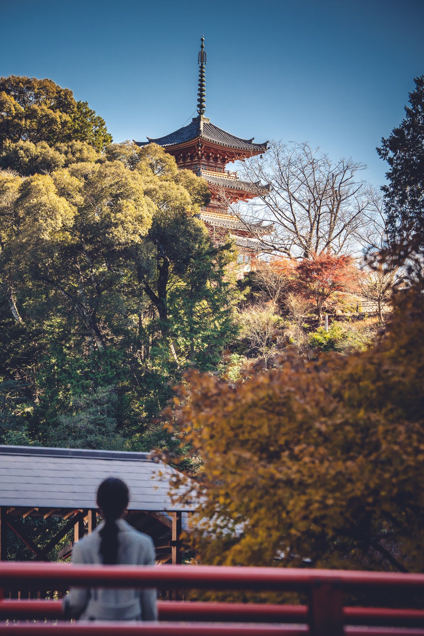 亀背橋から見える方広寺の三重の塔と紅葉