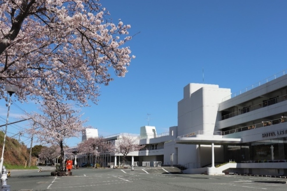 ホテルリステル浜名湖前の桜