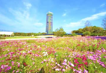 Hamanako Garden Park