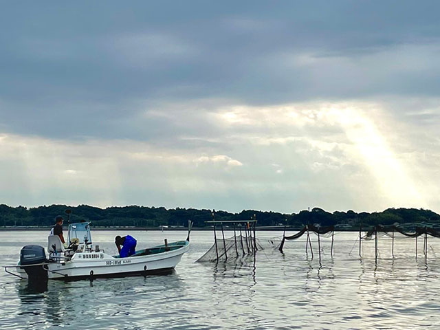 浜名湖の伝統的漁法「角(かく)立(だて)漁」