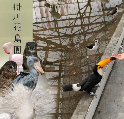掛川花鳥園